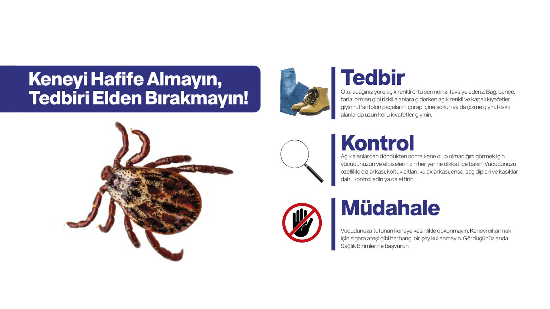 Keneyi hafife almayın, tedbiri elden bırakmayın!