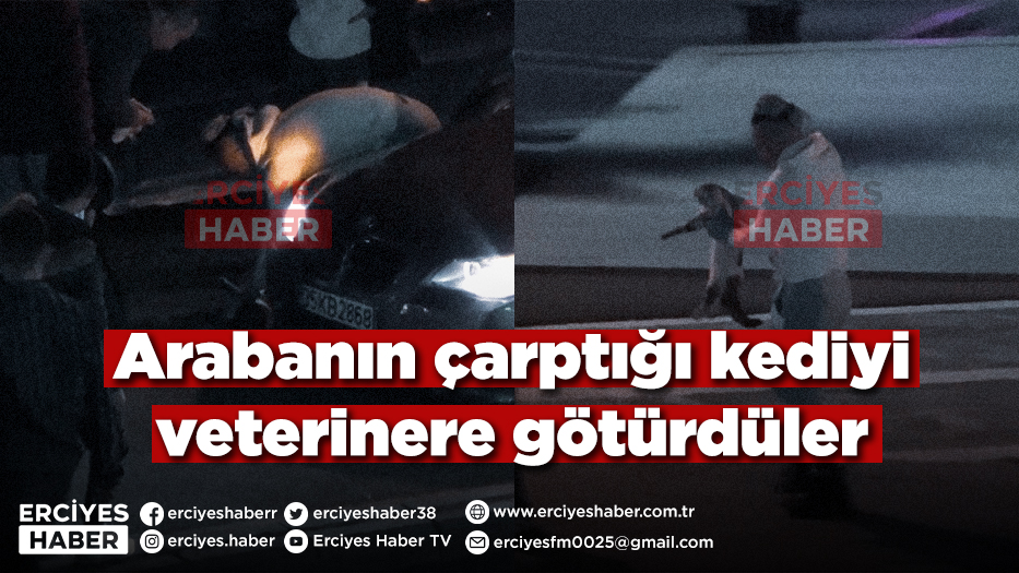 Arabanın çarptığı kediyi veterinere götürdüler