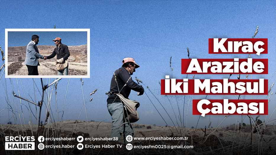 Kıraç Arazide İki Mahsul Çabası
