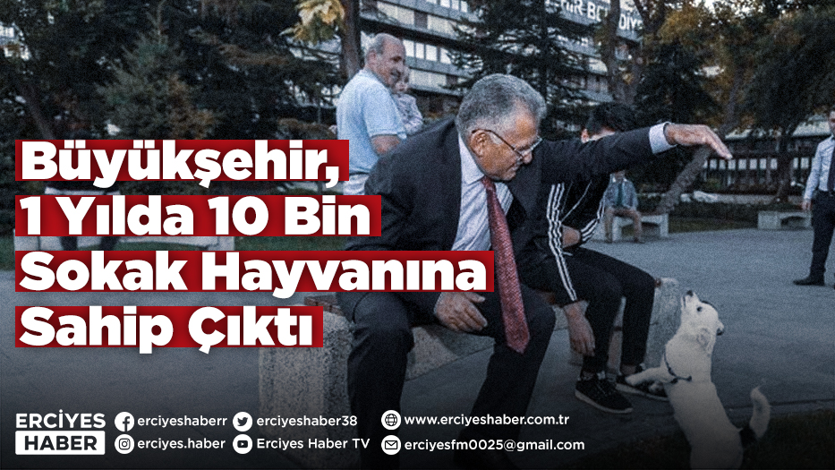 Büyükşehir, 1 Yılda 10 Bin Sokak Hayvanına Sahip Çıktı