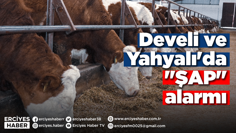 Develi ve Yahyalı'da 